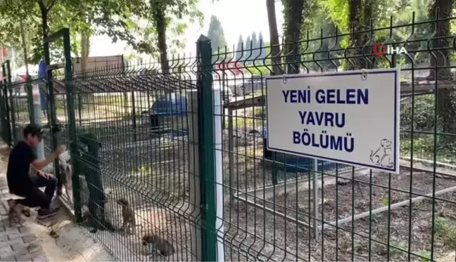 Sokak hayvanlarının yeni yuvası törenle açıldı