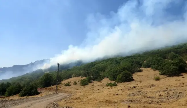 Son dakika haberi... Bingöl'deki orman yangına 100 kişilik ekip müdahale ediyor