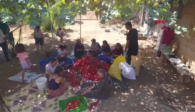 ACININ SOFRALARA YOLCULUĞU, KADINLARA VE ÖĞRENCİLERE KAZANDIRIYOR