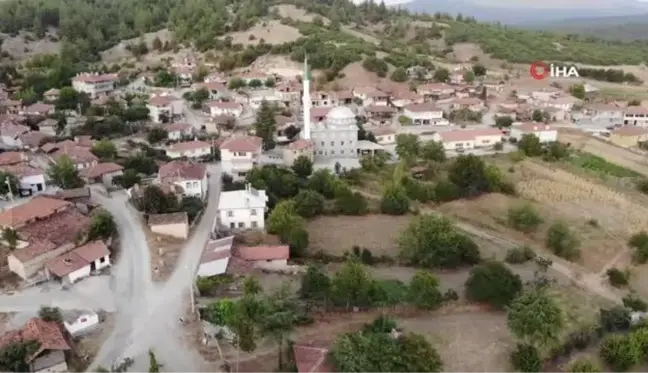 Onlar gitmeden düğün başlamıyor