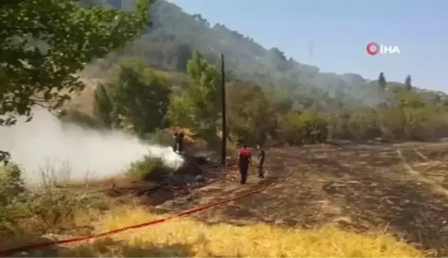 Söke'de yangın...10 dönüm zirai alan zarar gördü