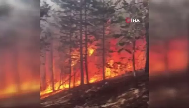 Son dakika haber! Sarıkamış Ormanları'nda korkutan yangın: Ekiplerin müdahalesi sürüyor