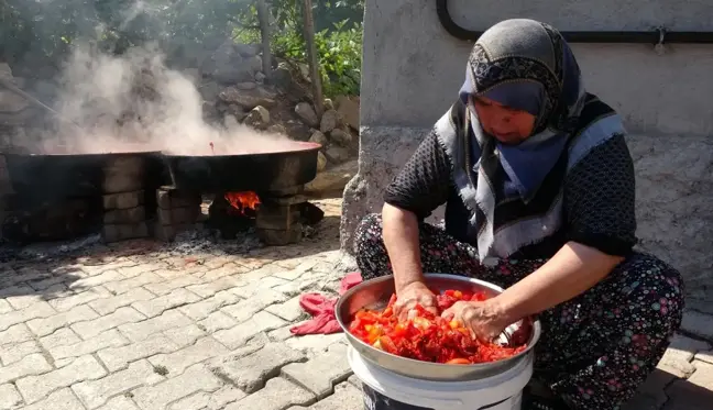 Hem organik hem de ekonomik salça telaşı