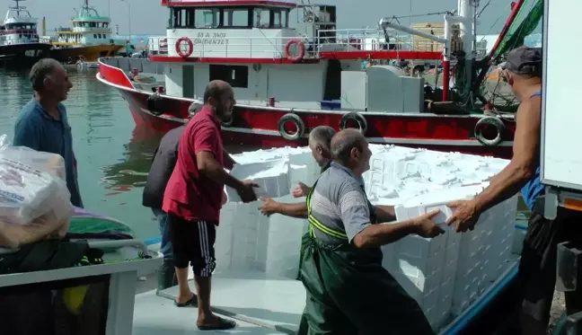 Karadeniz'de palamut ve hamsi bolluğu