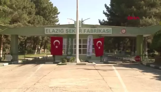 ELAZIĞ ŞEKER FABRİKASINDA PANCAR ALIM KAMPANYASI BAŞLADI