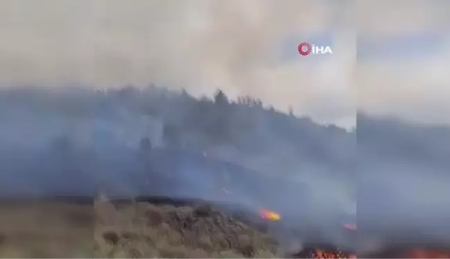 Son Dakika | Kanarya Adaları'nda yanardağ patlaması