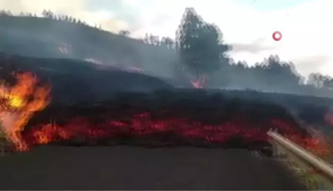 La Palma Yanardağı 100'den fazla evi yok etti