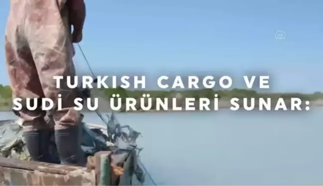 Turkish Cargo mavi yengeçlerin yolculuğunu anlatacak