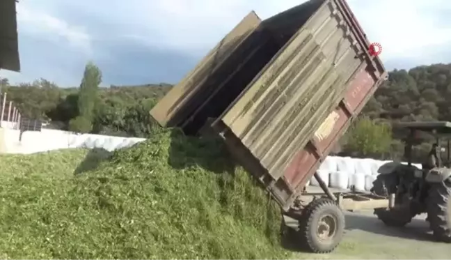 Pandemideki yem açığına karşı silaj paketleme tesisi kurdu