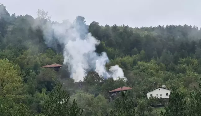 2 asırlık evler alevlere teslim oldu