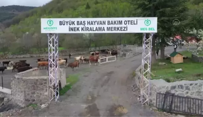 Hayvan oteli gurbetçilerin imdadına yetişiyor