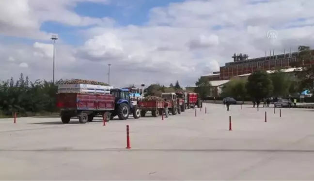 Çorum Şeker Fabrikası'nda 4. pancar alım kampanyası başladı