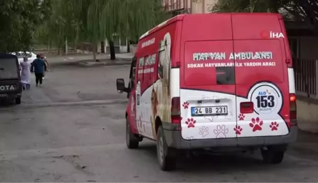 Erzincan'da 'hayvan ambulansı' hizmete girdi