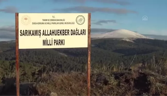 Kar ve sonbahar renkleri güzel manzaralar oluşturdu