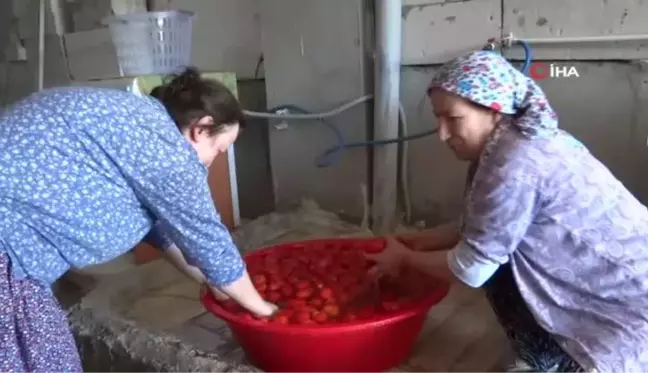 Bahçelerde salça kazanları kaynamaya başladı