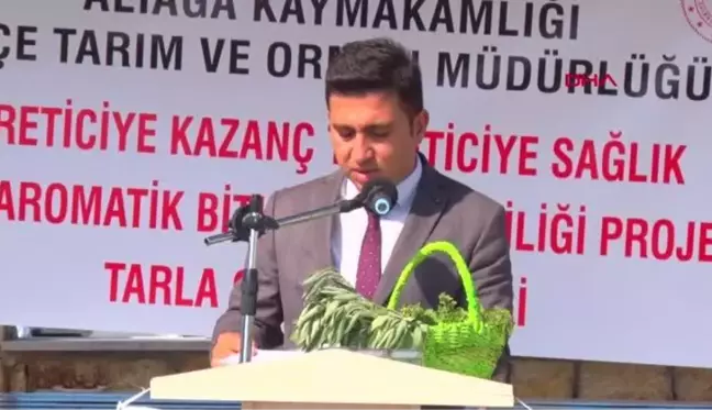 ALİAĞA'DA ANADOLU ADAÇAYI İLE İZMİR KEKİĞİ HASADI YAPILDI