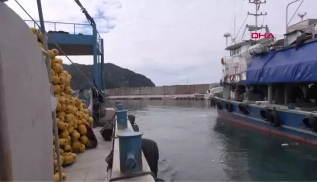 ÖZEL KARADENİZ'DE 'PALAMUT' KENDİNİ GÖSTERDİ