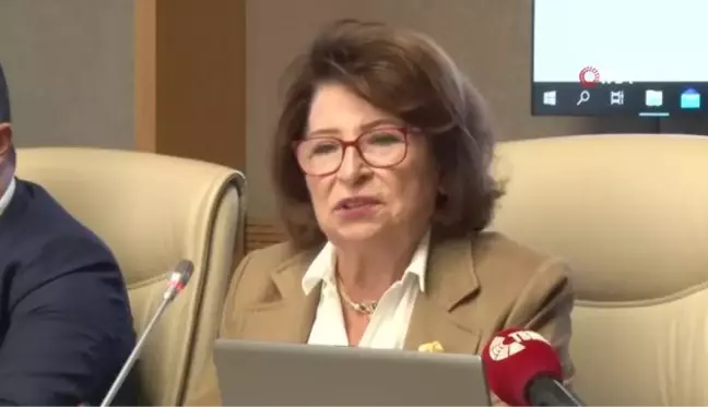 Psikiyatrist Gülseren Budayıcıoğlu 'Kadına Şiddet Komisyonu'nda milletvekillerine bilgi verdi