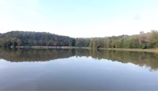 Kurugöl Tabiat Parkı'nda renk cümbüşü yaşanıyor