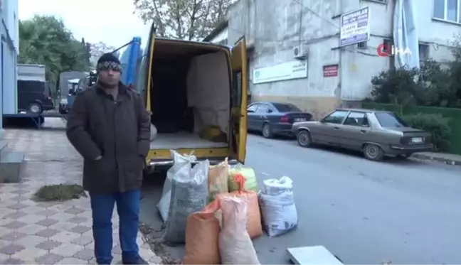 Alaplı kestanesi Türkiye'ye gönderiliyor