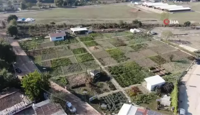 Bursa'da üretilen farklı tür kabakların yaygınlaşması hedefleniyor