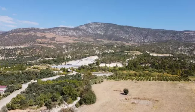 Hedef zeytin ve zeytinyağı üretiminde marka olmak