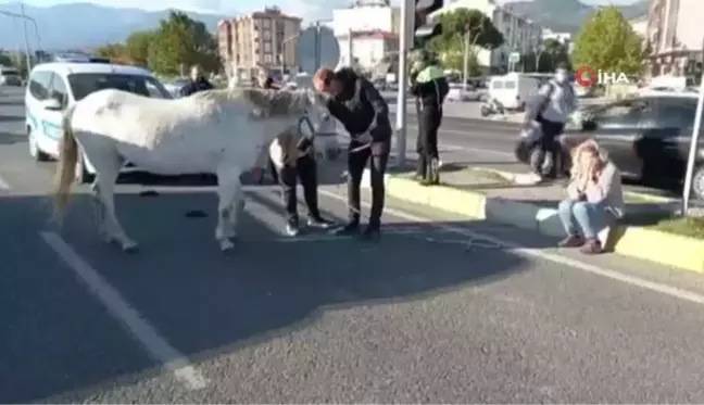 Ata çarpan kadın gözyaşlarına boğuldu