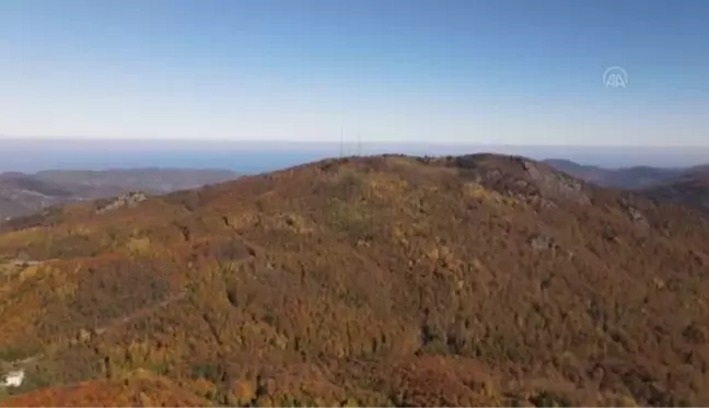 KASTAMONU - (DRONE) Küre Dağları'nda sonbahar güzelliği