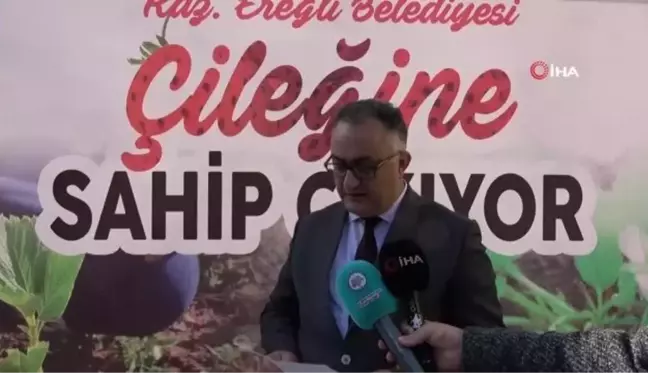 Osmanlı çileği fideleri halkla buluştu