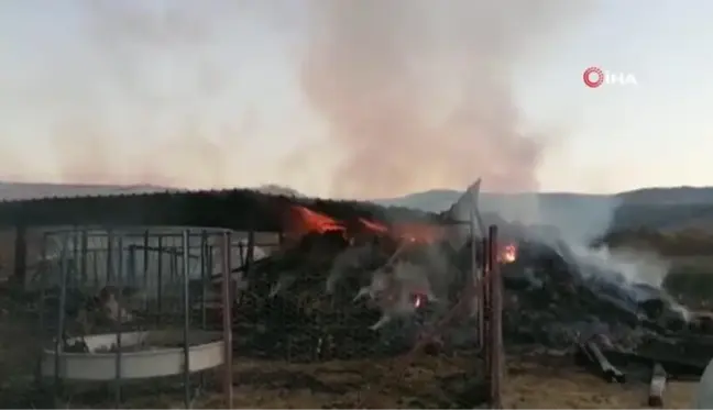 Çan'da ahır yangını: 300 saman balya yandı