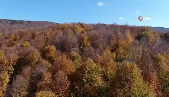 Korona virüsten kaçanlar bu köşklerde izole oluyor