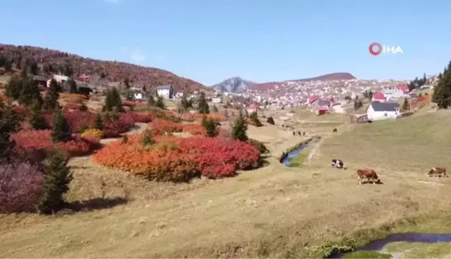 Sis Dağı'ndan mest eden sonbahar manzaraları