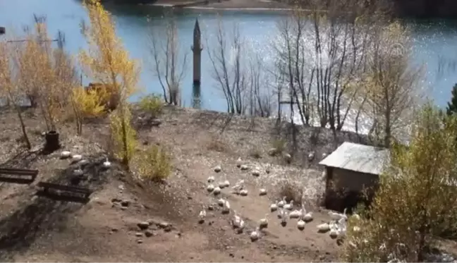 Baraj suyu çekilince cami minaresi ortaya çıktı