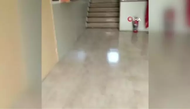 Eğitim yuvası mikrop yuvasına döndü