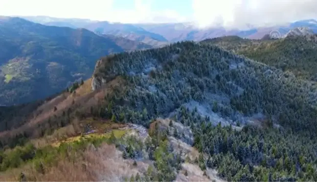 KASTAMONU - Drone - Küre Dağları'nın bir yanı sonbahar bir yanı kış