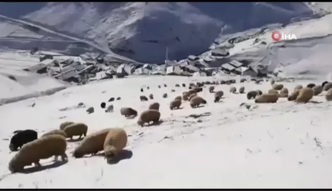 Bayburt - Trabzon sınırındaki köyler kar beyaz