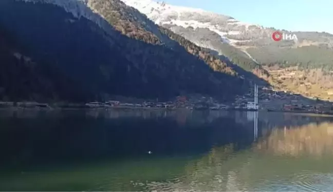 Uzungöl'deki balık ölümleri ve balıklardaki mantar hastalığı ile ilgili inceleme başlatıldı