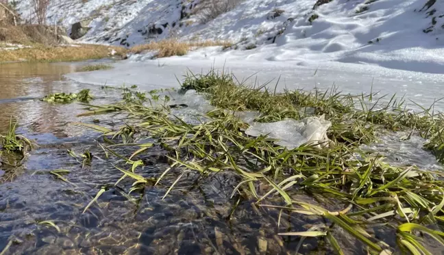 Bayburt'un yüksek kesimlerindeki derelerin yüzeyi buz tuttu