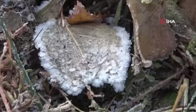 Ardahan'da soğuk hava etkili oluyor