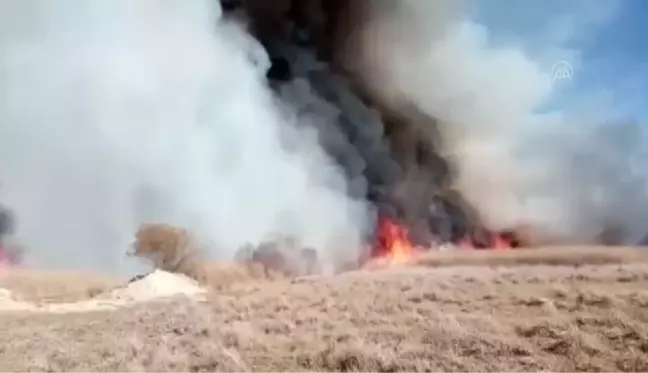 AFYONKARAHİSAR - Eber Gölü çevresindeki sazlık alanda yangın çıktı