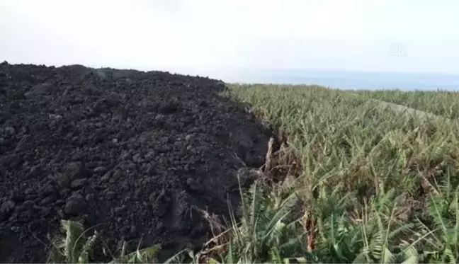 Cumbre Vieja Yanardağı'ndan çıkan lavlar 58 günde 2600'den fazla binayı yaktı