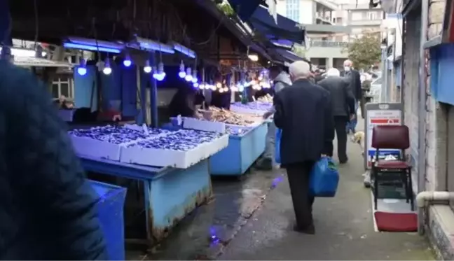 Tezgahlarda hamsi bolluğu yaşanıyor