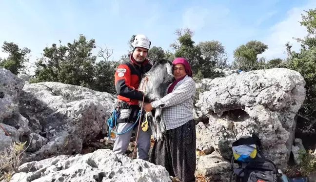 Son dakika haberi! Mersin'de 100 metre aşağıda keçi kurtarma operasyonu