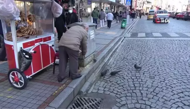 Rize'nin 'Güvercin babası' 13 yıldır kuşları elleriyle besliyor