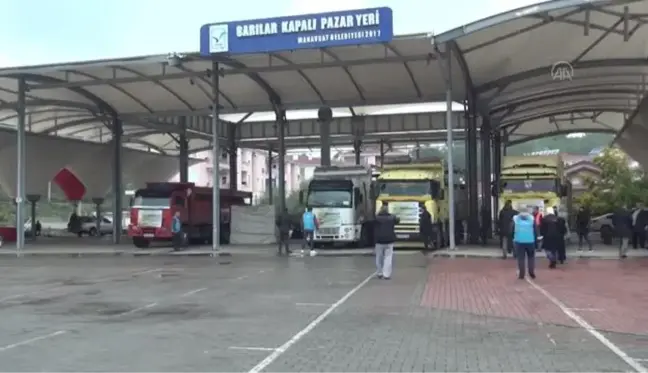 Avusturya'da yaşayan gurbetçilerden Manavgat'a fidan desteği