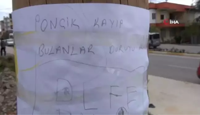 'Ponçik' için yürekleri ısıtan kayıp ilanı