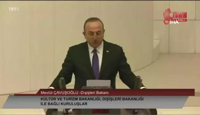 Dışişleri Bakanı Mevlüt Çavuşoğlu: 