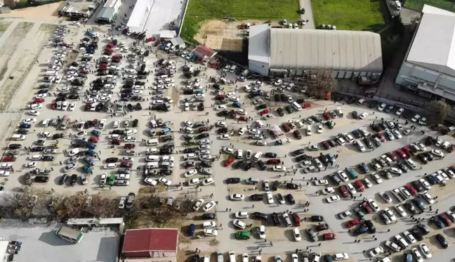 İkinci el oto pazarında işler açıldı esnafın yüzü güldü