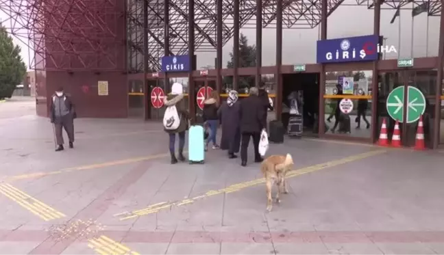 Otobüs biletleri uçak fiyatlarını yakaladı