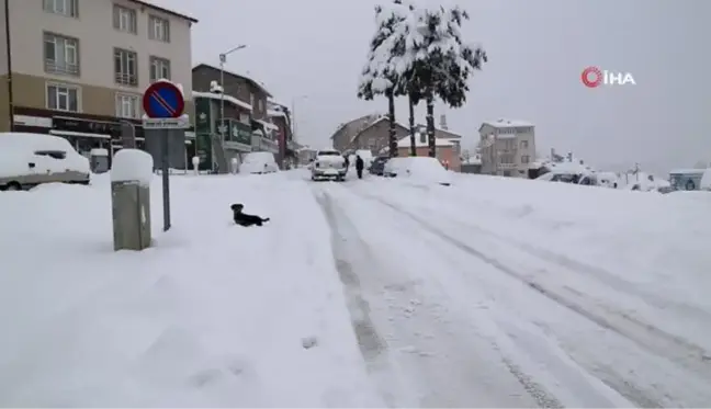 Konya'nın Hadim ilçesinde kar kalınlığı yarım metreyi geçti